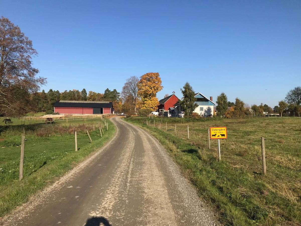 Stegemans Horse Hotel And Country Lodge Ljungby (Kronoberg) Exterior foto